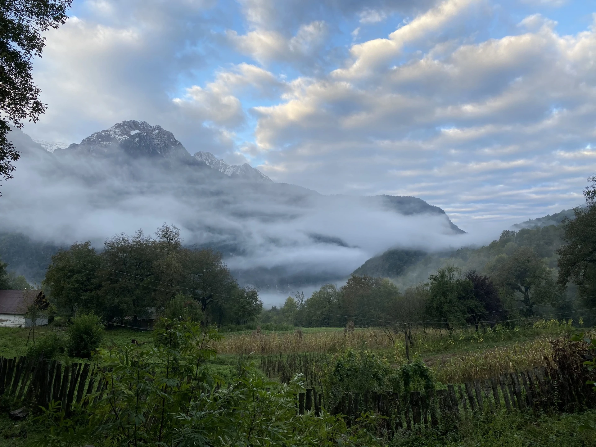 2021-09-27 06-43-16.jpg 2021-09-27 06-43-16.jpg