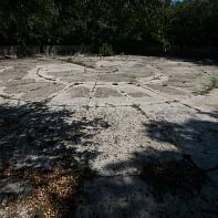 Чаша Зибольда