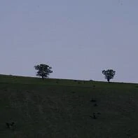 Прерия