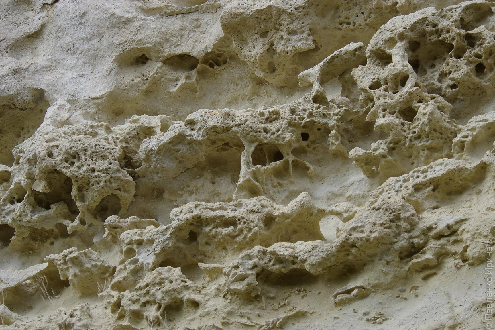 Бакла Петроглифы-32.JPG Бакла Петроглифы-32.JPG