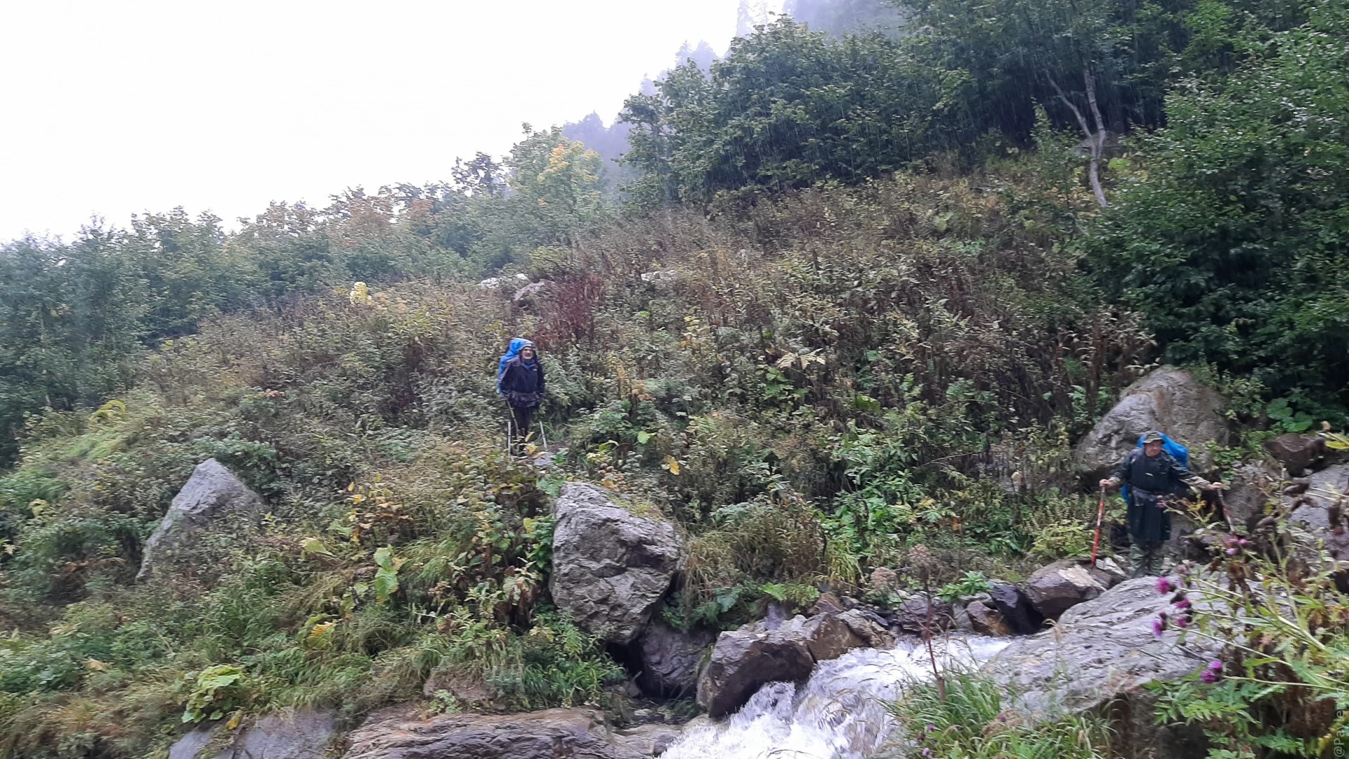 тропа.jpg тропа.jpg