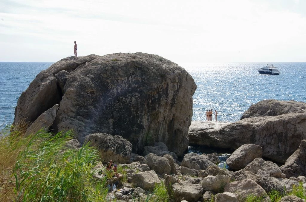 Инжир.jpg Инжир.jpg