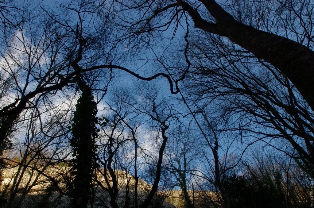 Сюйреньская крепость, тропа-3.jpg