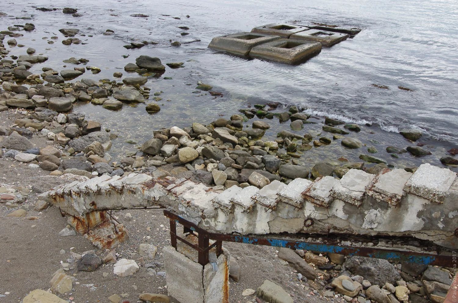 Новый Свет-15.jpg Новый Свет-15.jpg