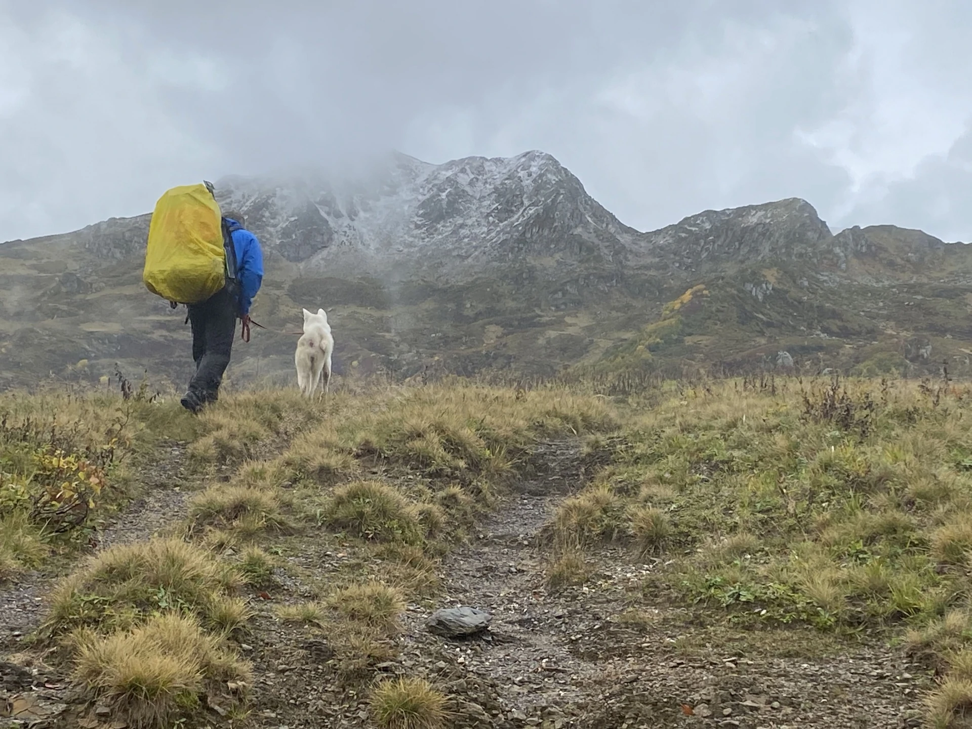 2021-09-24 09-52-24.jpg 2021-09-24 09-52-24.jpg