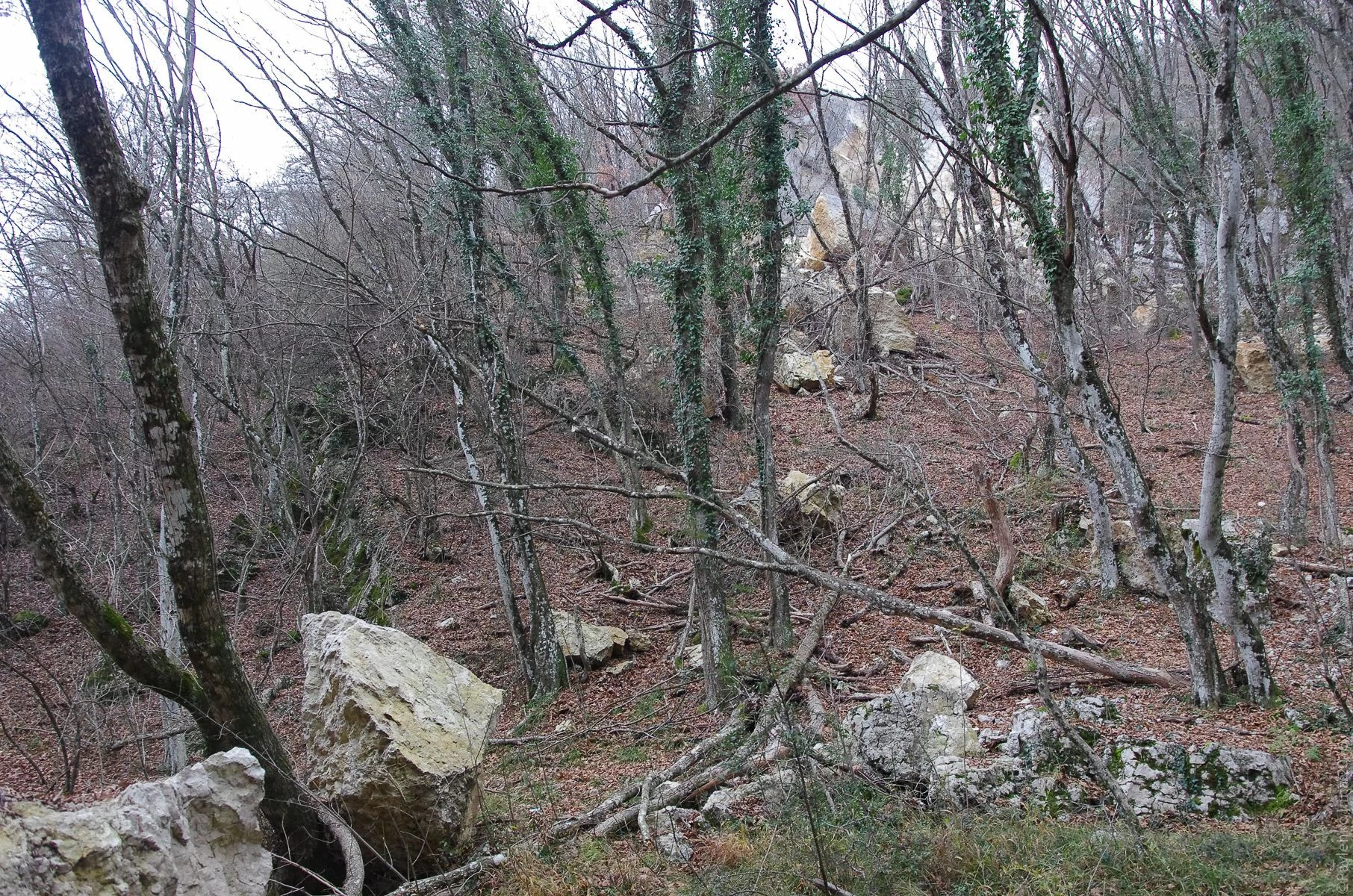 Прогулка к водопаду Козырек-23.jpg Прогулка к водопаду Козырек-23.jpg