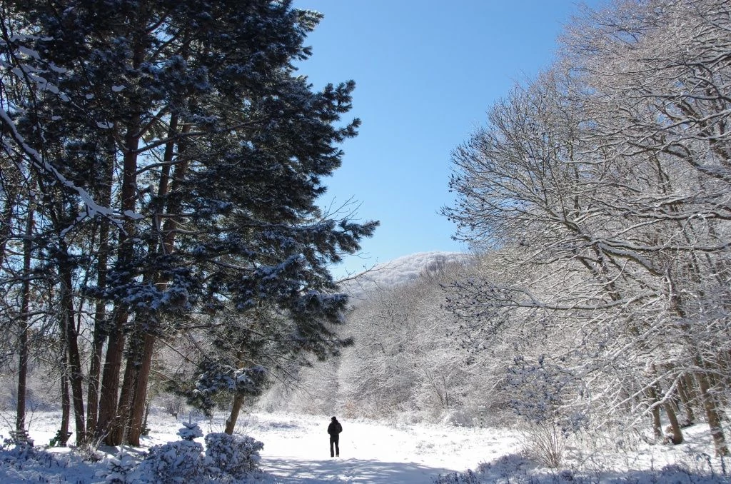 Дорога к ущелью Кок-Асан.jpg