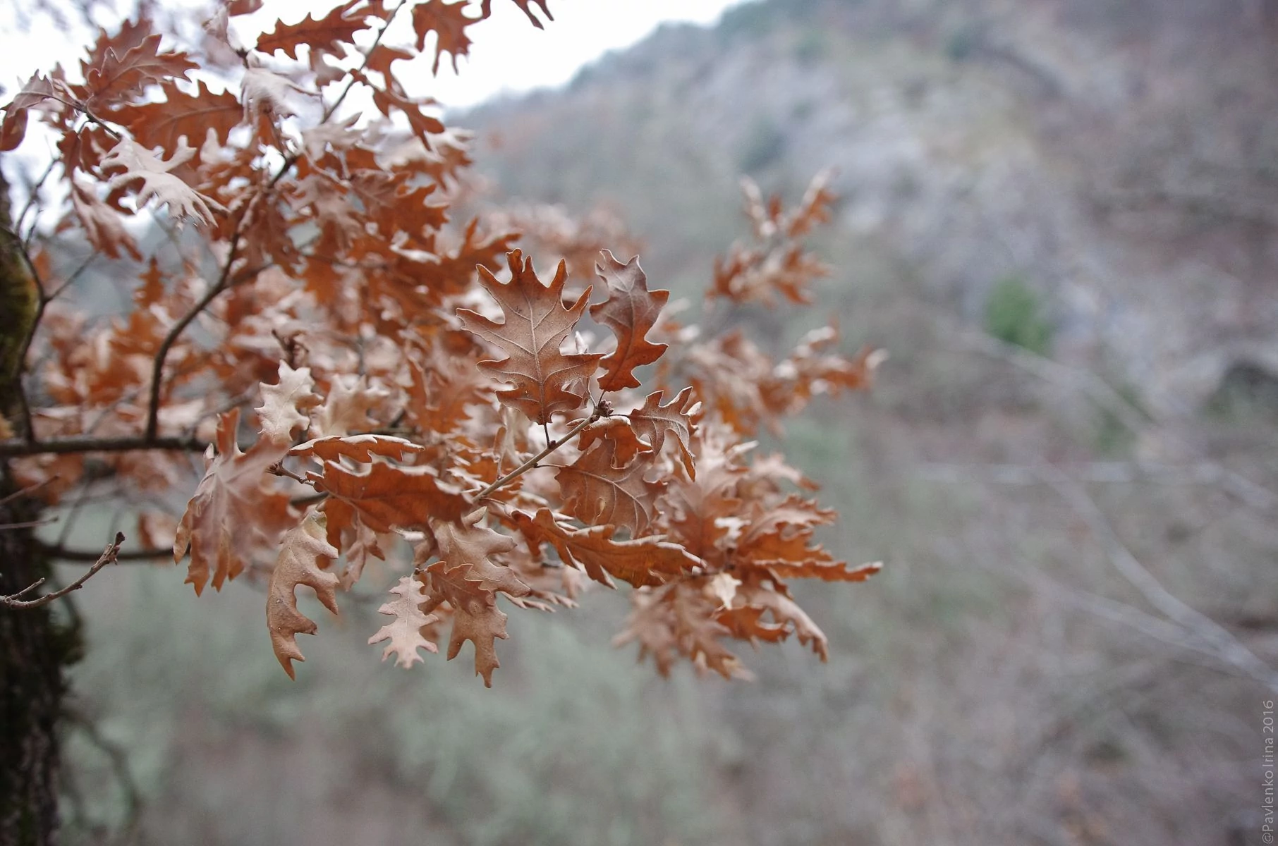 Прогулка к водопаду Козырек-25.jpg Прогулка к водопаду Козырек-25.jpg