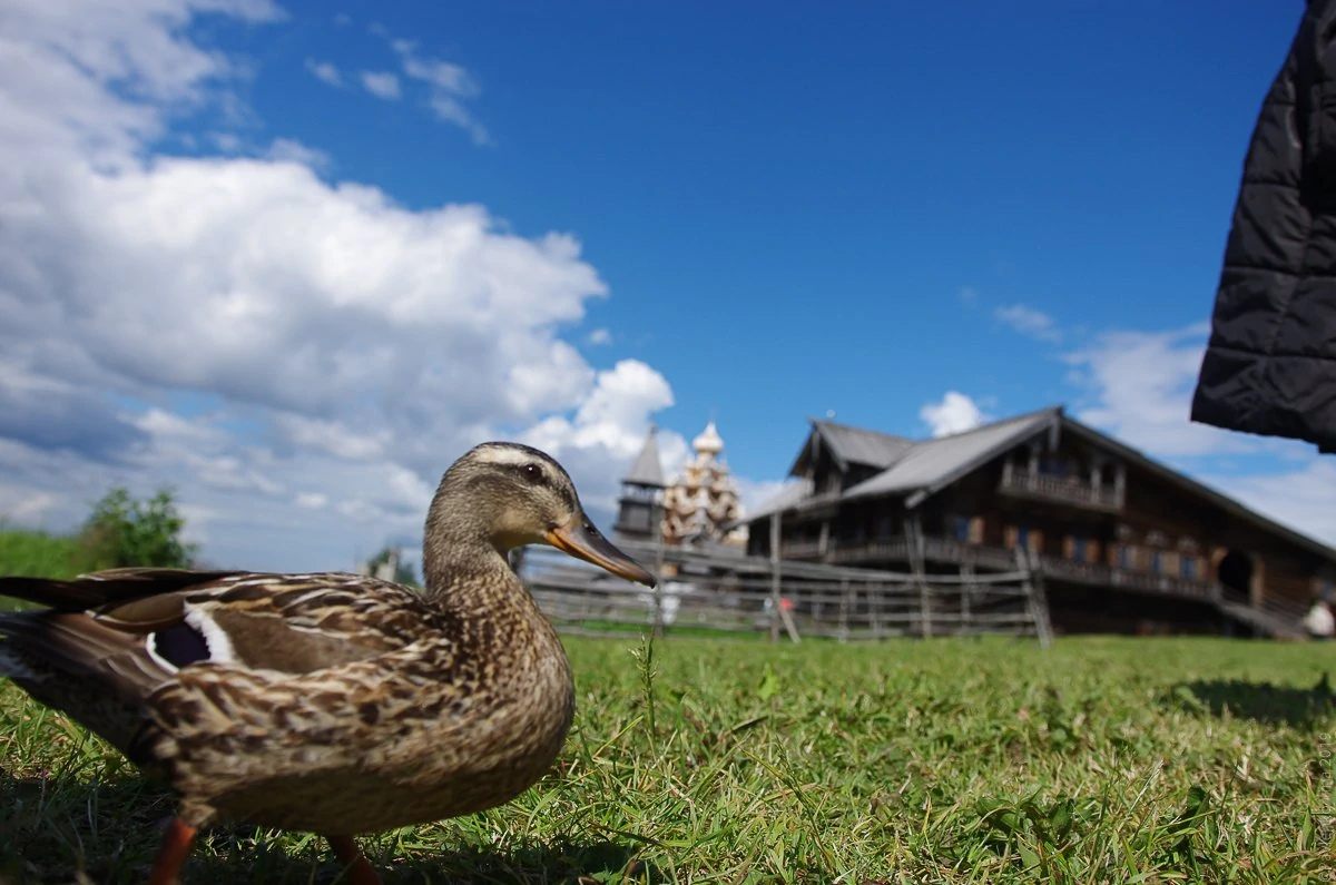 Дом Ошевнева-1-17.jpg