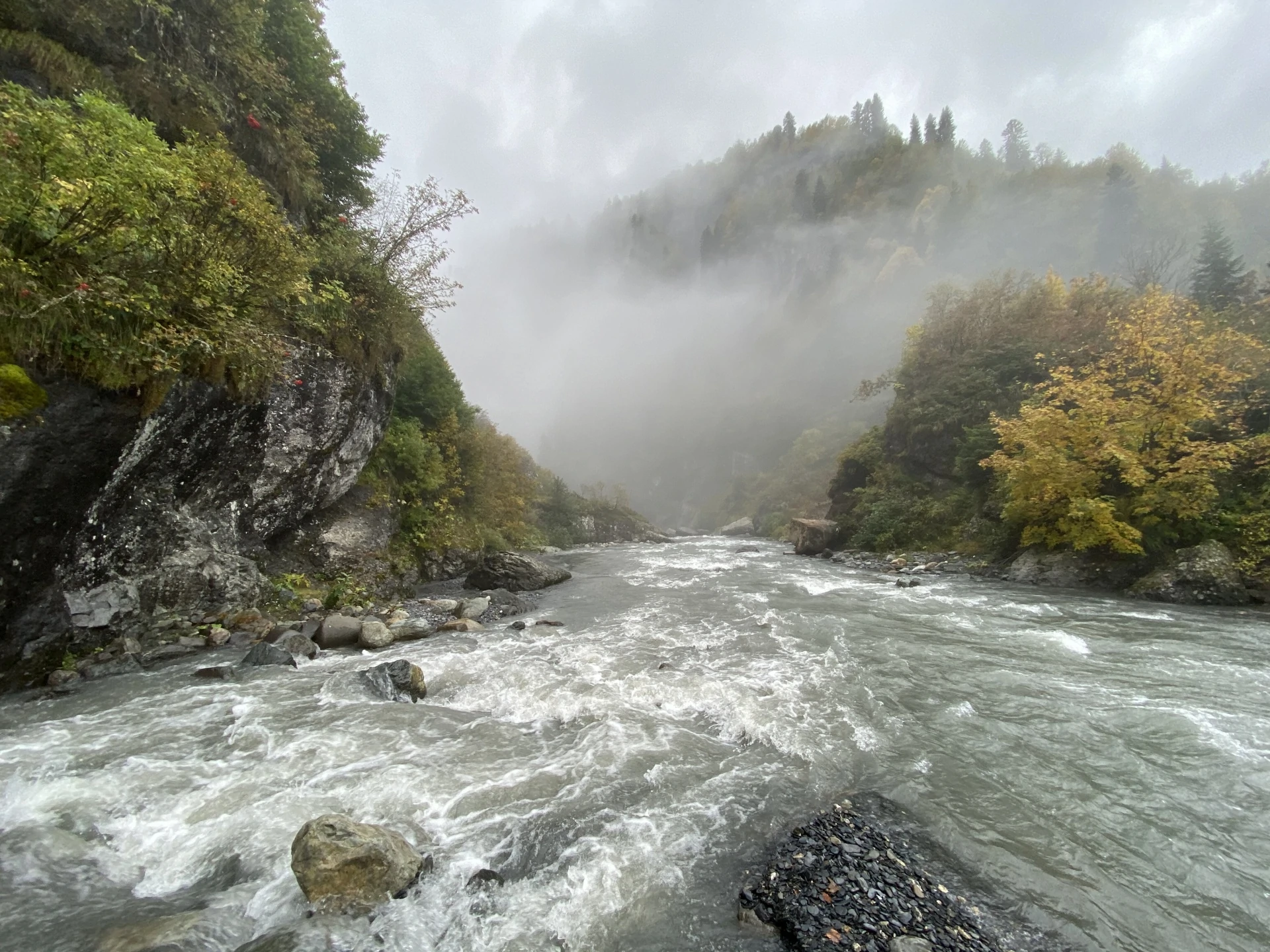 река Грибза.jpeg река Грибза.jpeg