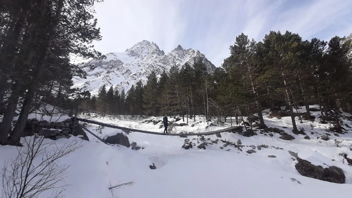 271595363_3104234576510949_9213284309616686368_n.jpg 271595363_3104234576510949_9213284309616686368_n.jpg