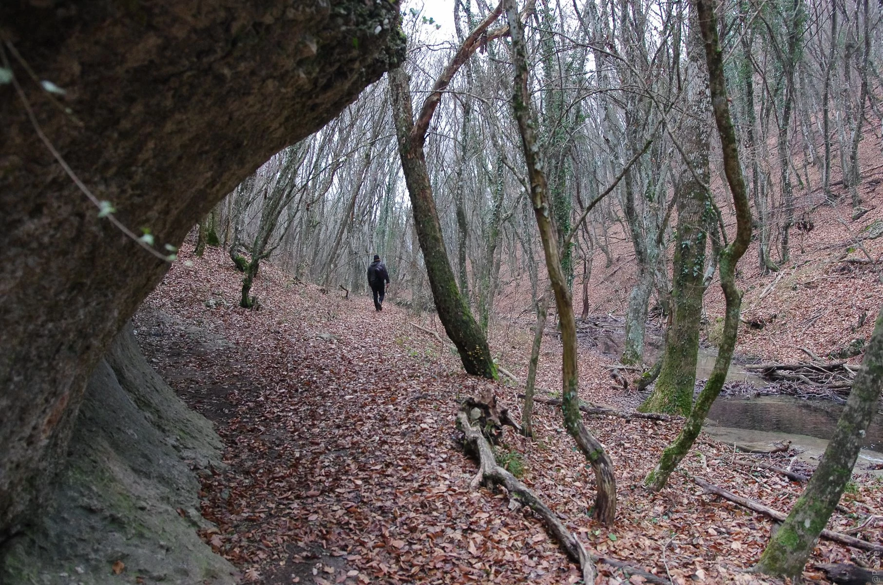 Прогулка к водопаду Козырек-22.jpg Прогулка к водопаду Козырек-22.jpg