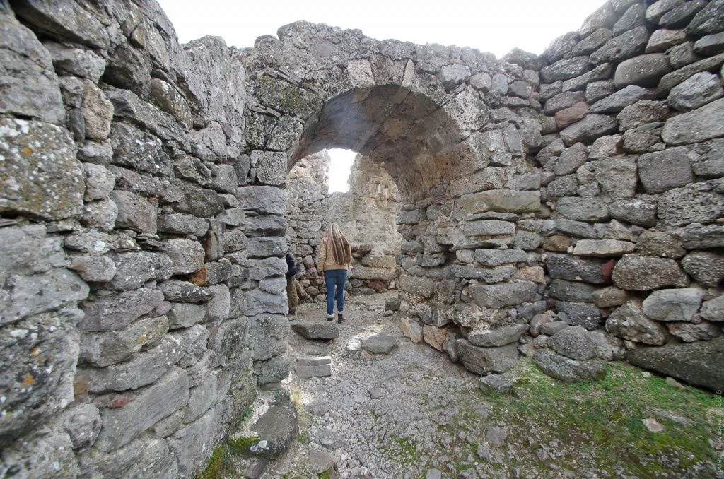 Фуна Лучистое Демерджи Фуна Лучистое Демерджи-11.jpg