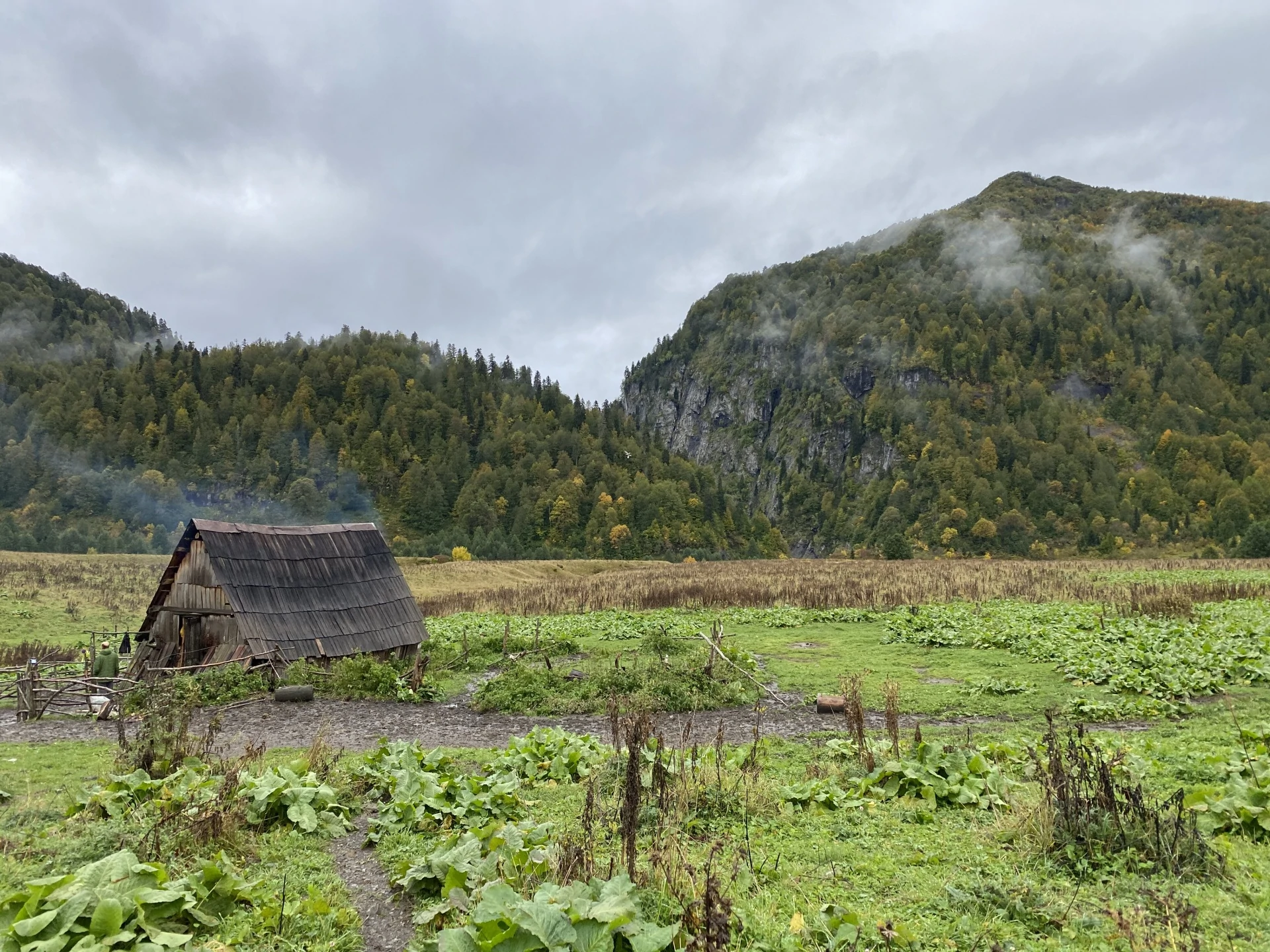 2021-09-23 08-29-55 (1).jpeg 2021-09-23 08-29-55 (1).jpeg