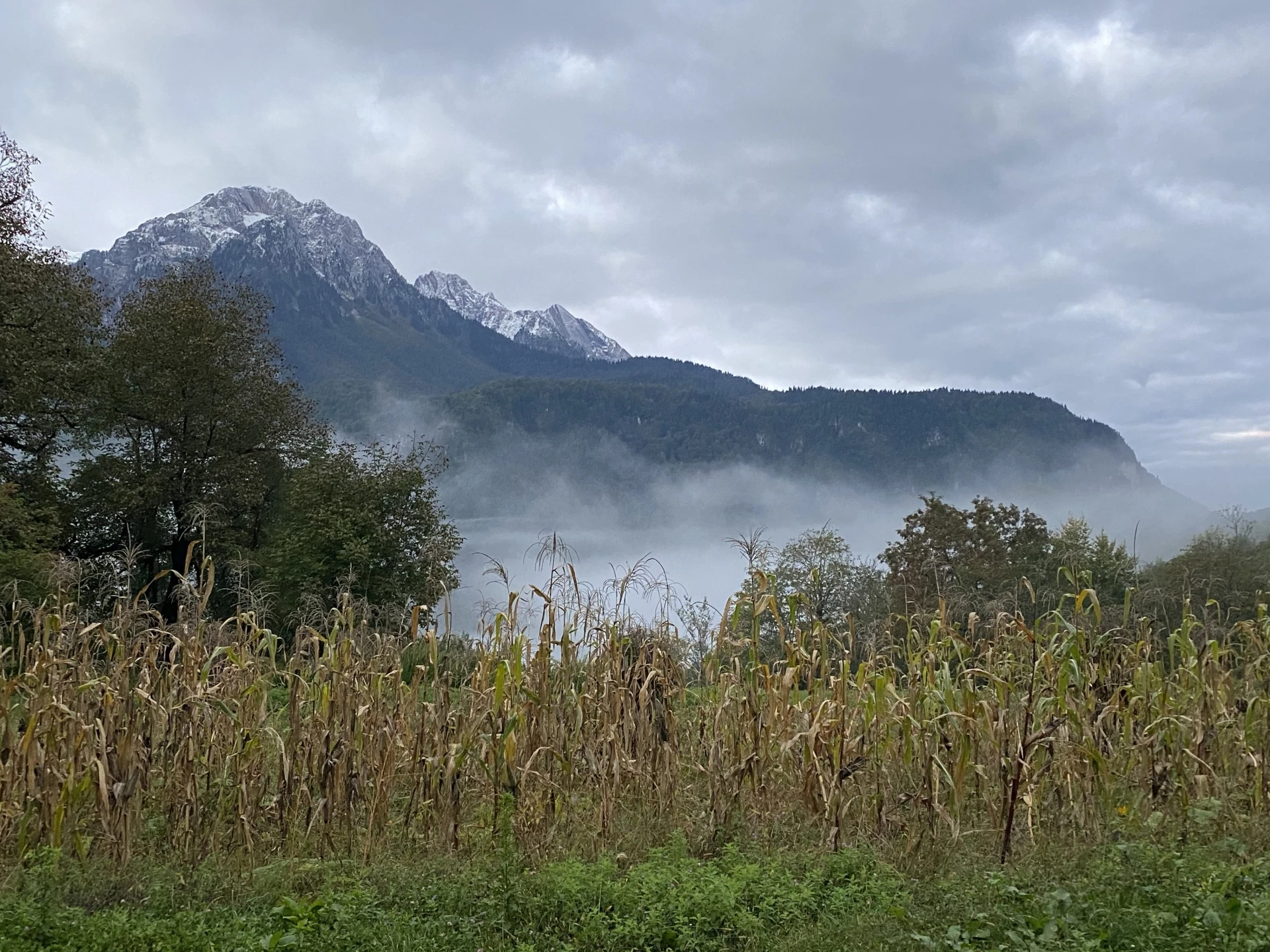 2021-09-27 06-02-22.jpg 2021-09-27 06-02-22.jpg