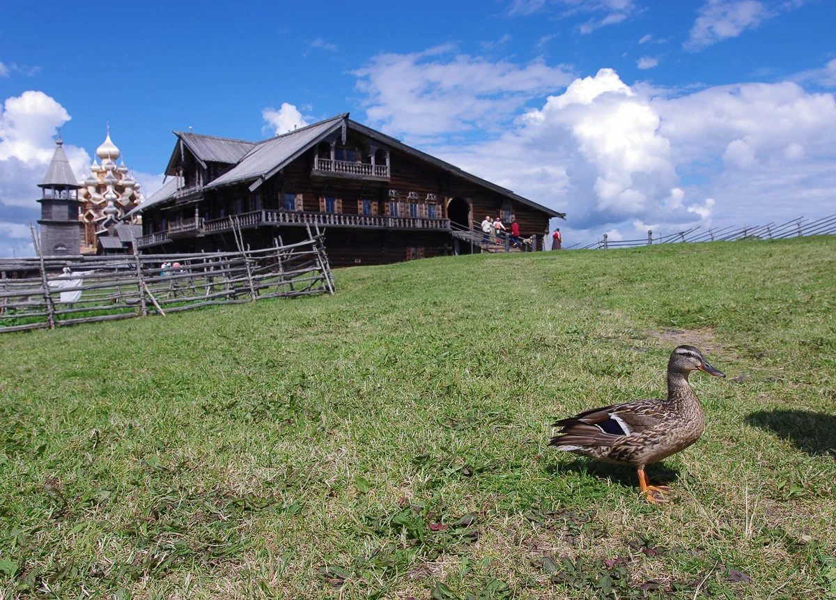 Дом Ошевнева-1-16.jpg