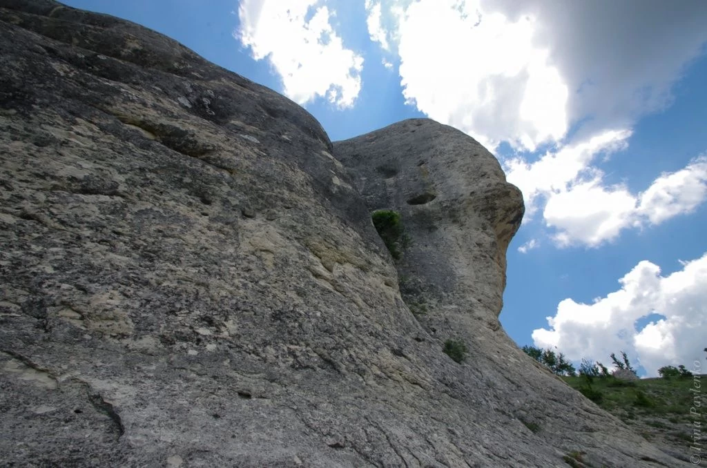 Скала похожа на дельфина в профиль