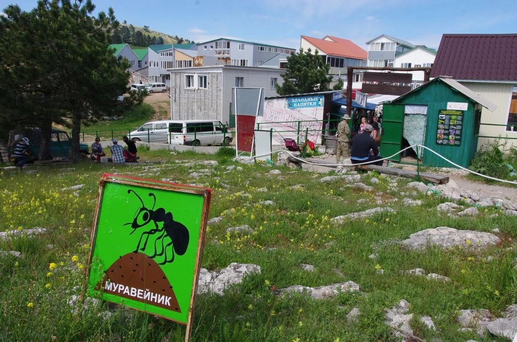 Ай-Петри, муравейник