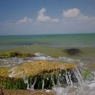 Море