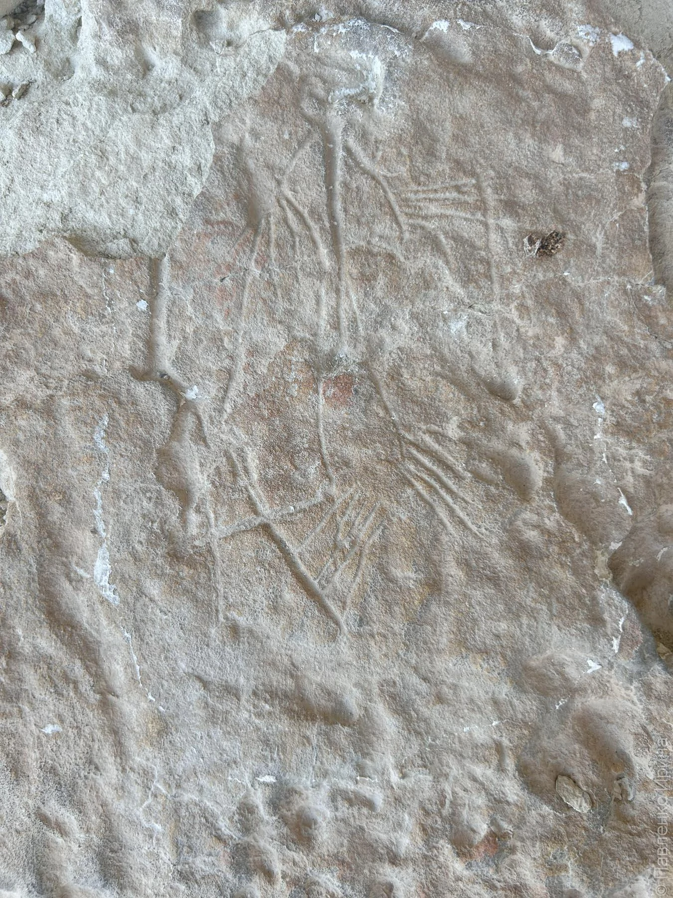 Бакла Петроглифы-16.jpg Бакла Петроглифы-16.jpg