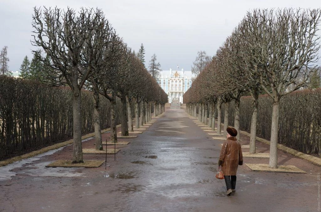 Регулярный парк. Царское село. Екатерининский парк Регулярный парк. Царское село. Екатерининский парк