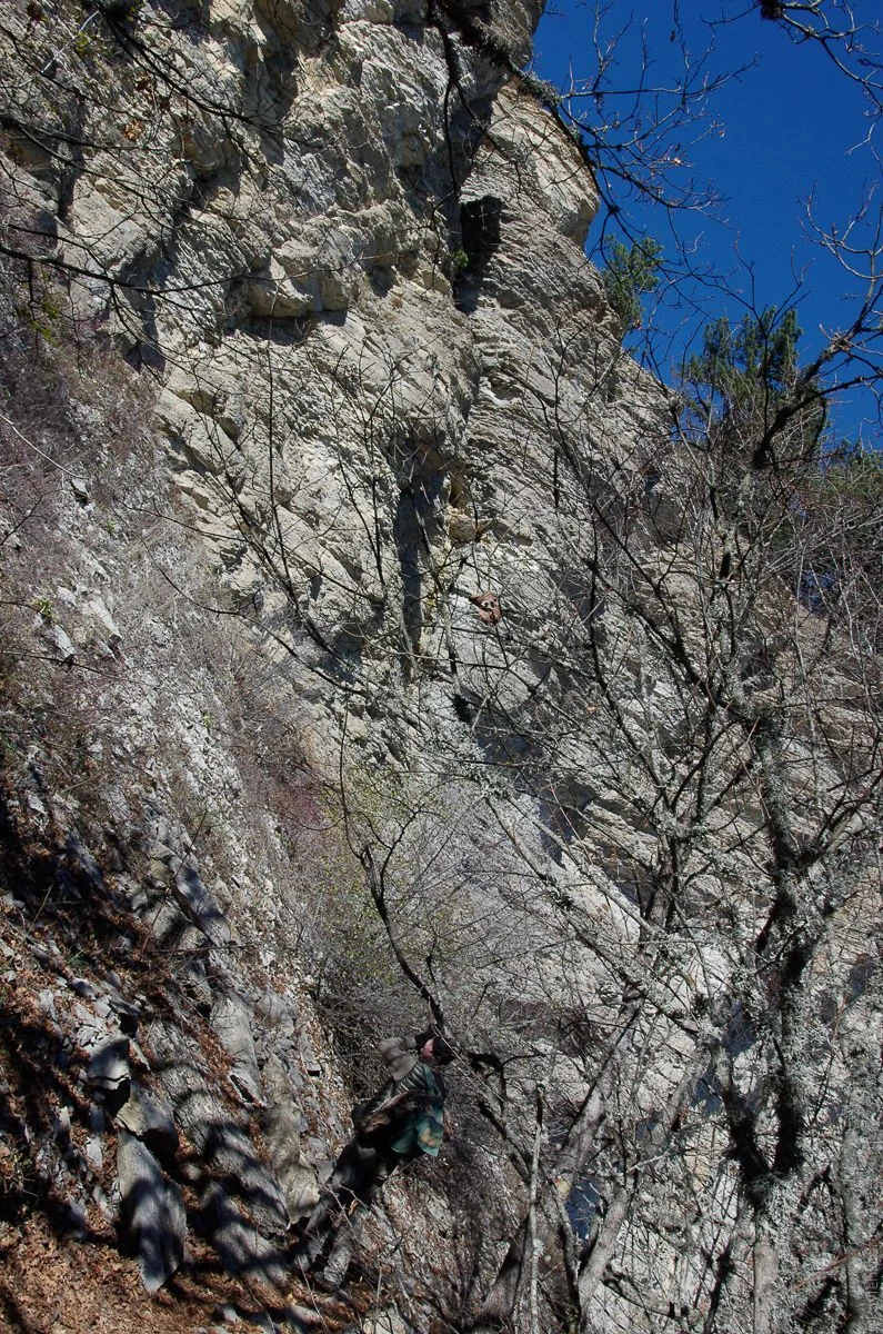 Таракташ-8.jpg Таракташ-8.jpg