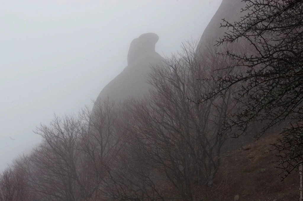 Демерджи, мандарин