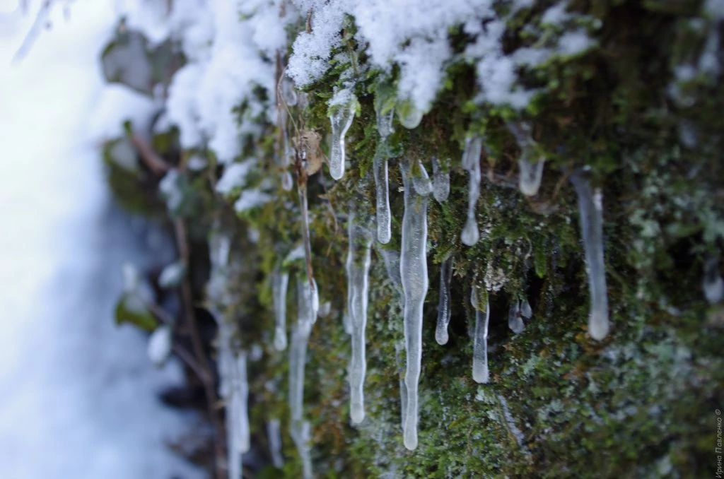 Черемисовские водопады-16.jpg