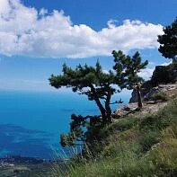 Кореизская тропа