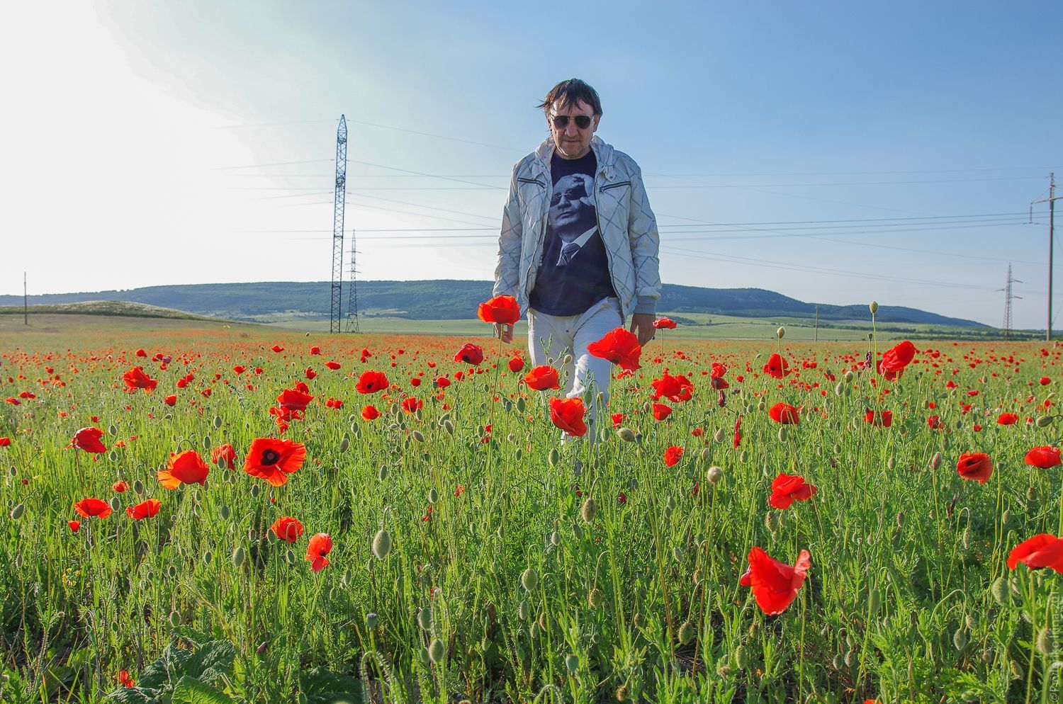 маковое поле, Крым