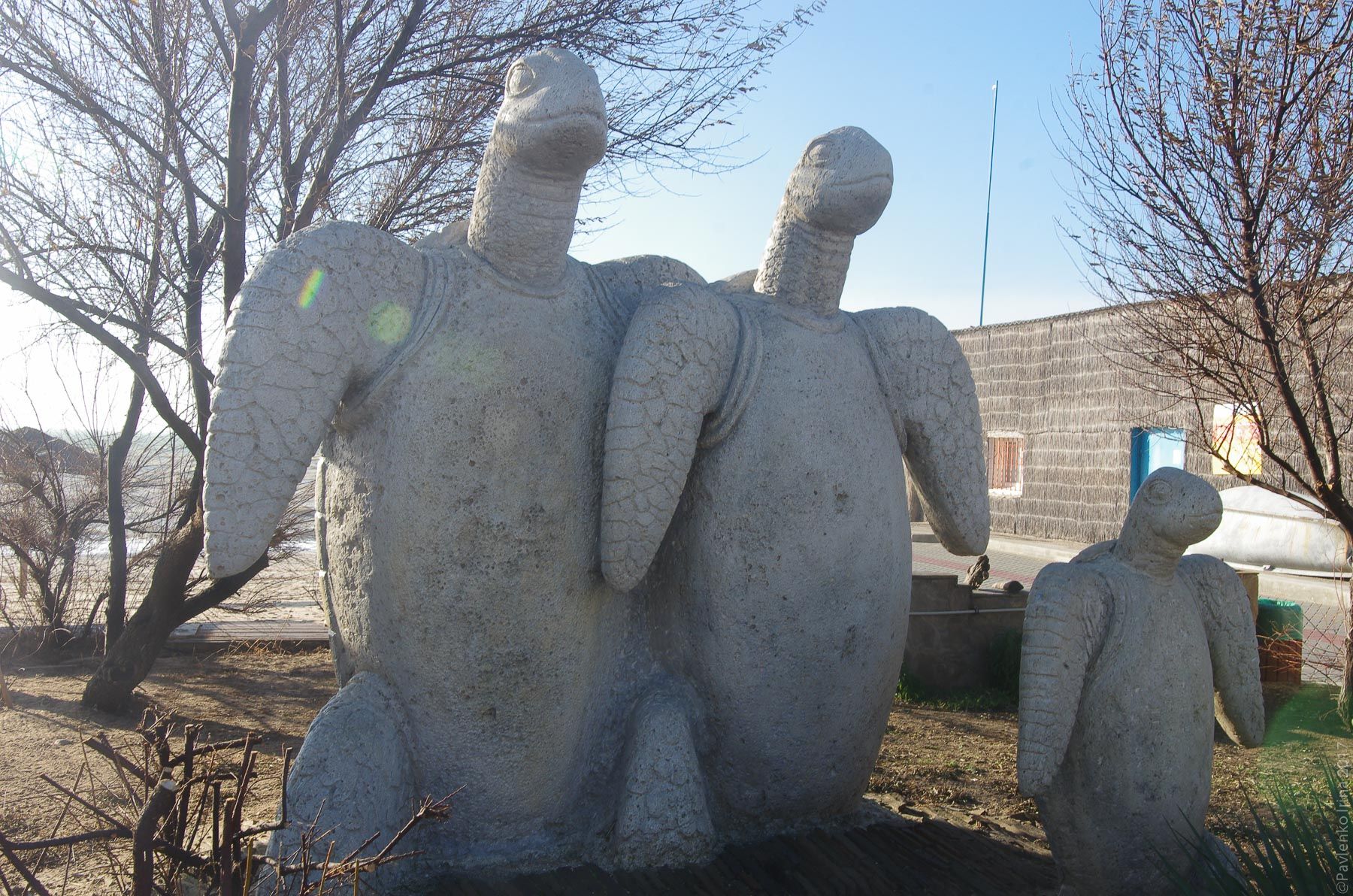 скульптуры Черепах в санатории Полтава.jpg