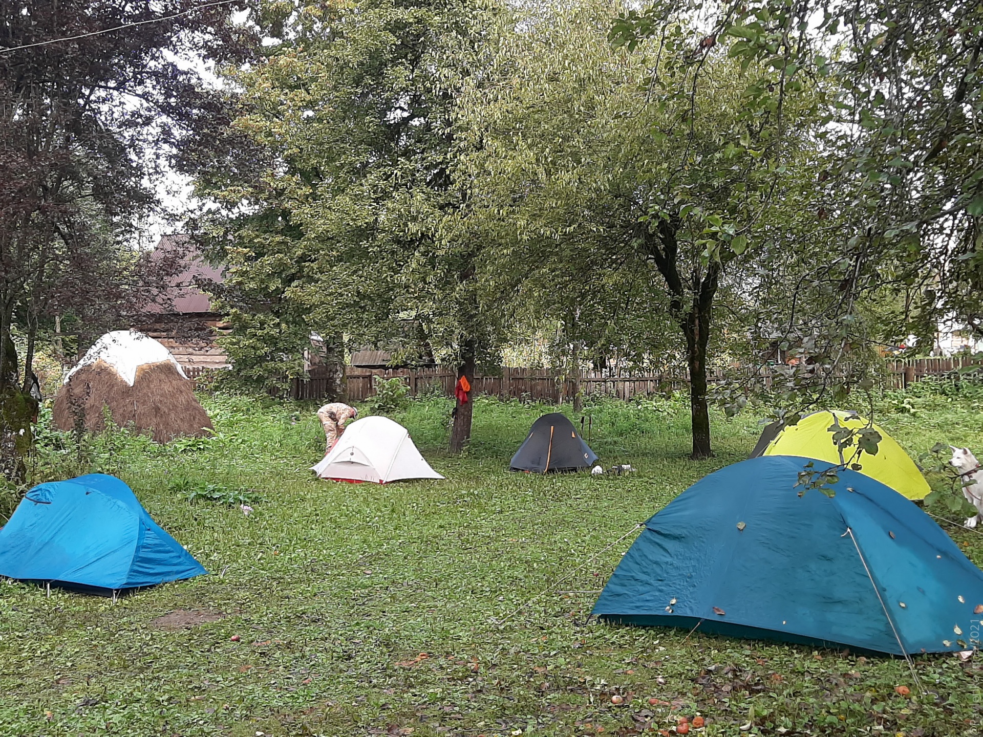 палатки во дворе.jpg