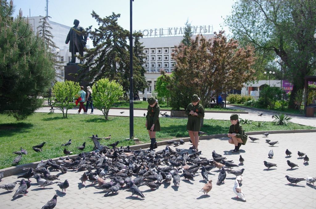 Саки, девочки кормят голубей Саки, девочки кормят голубей